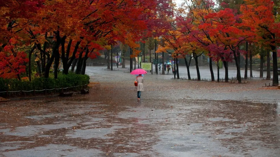 Prăpăd în sudul țări: meteorologii au emis Cod ROȘU de precipitații abundente până marți noaptea