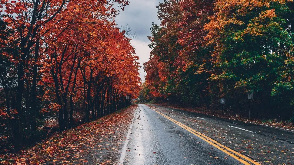 Prognoza meteo 1 decembrie. Cer noros și precipitații pe arii restrânse
