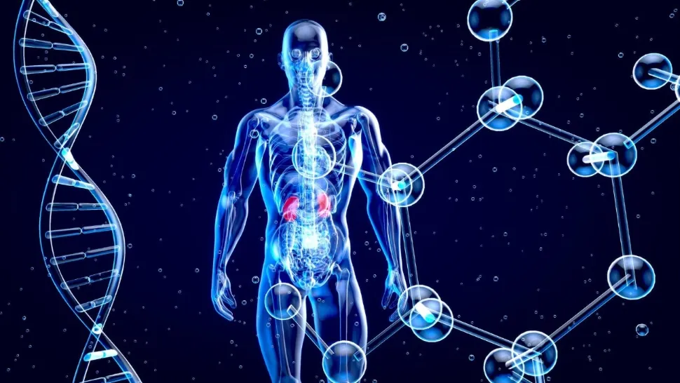 Cercetătorii au identificat fragmente de ADN extraterestru în genomul uman