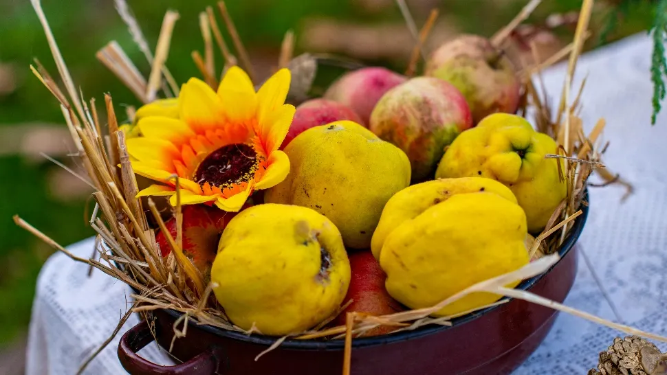 Aceste fructe de sezon sunt cele mai benefice în cazul diabeticilor. Mențin glicemia în limite normale, conform diabetologilor