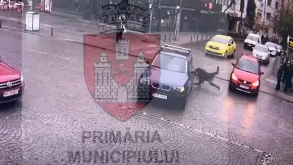 Momentul în care un ieșean pe trotinetă se izbește de o mașină
