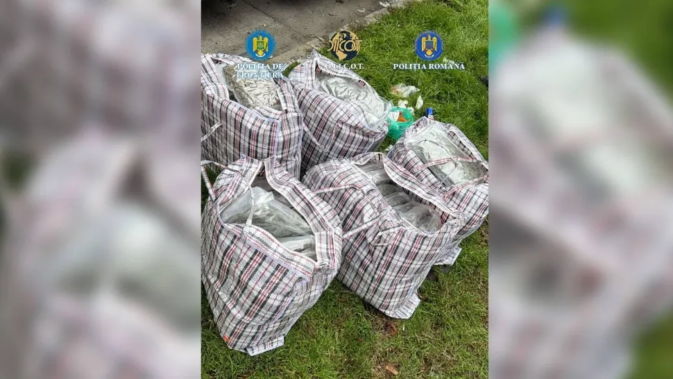 Captură uriașă de droguri la frontiera româno-bulgară: 37 de kilograme de canabis, descoperite într-un transport de arbuști ornamentali