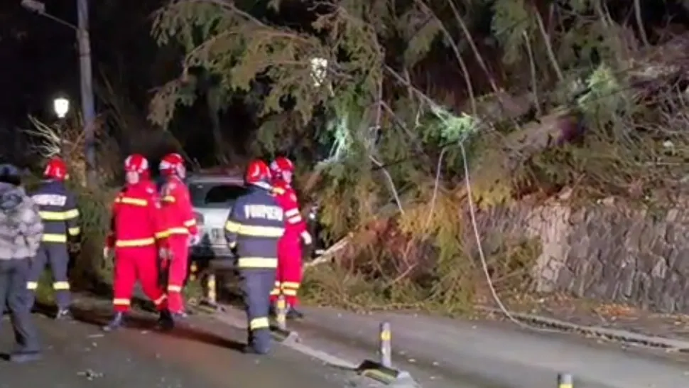 Cod ROȘU de vânt. Autoritățile sunt în alertă: panică pe șosele