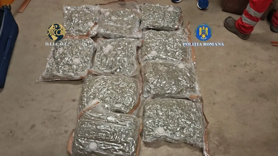 Captură record de droguri în Capitală: patru suspecți, prinși cu canabis adus din Spania