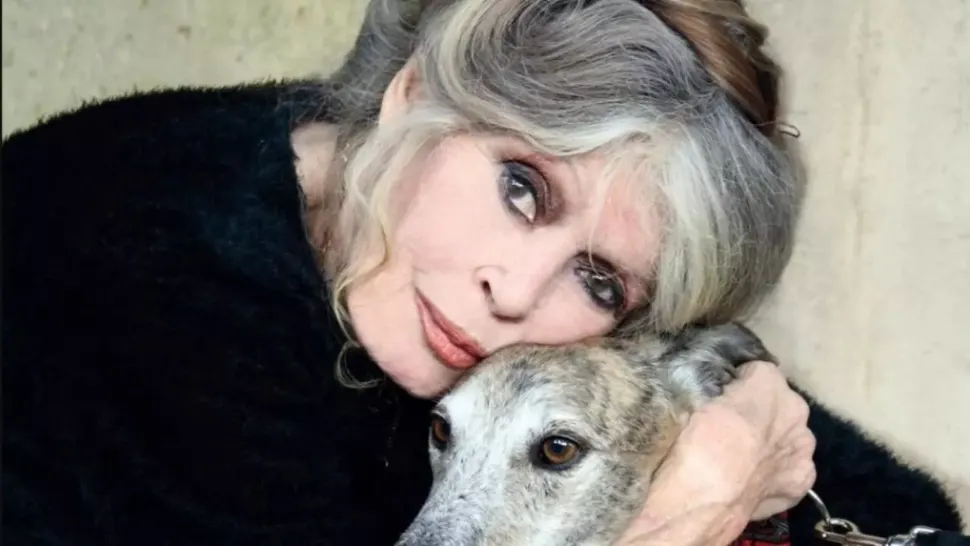 Brigitte Bardot. Foto: Profimedia