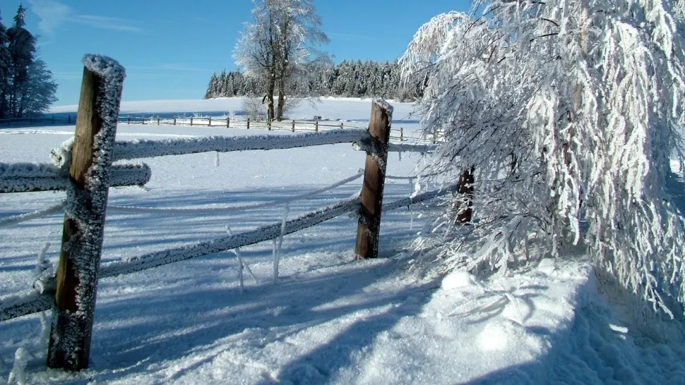 Iarnă blândă în România: valori termice peste normal. Cum vor arăta primele zile din ianuarie/ Profimedia