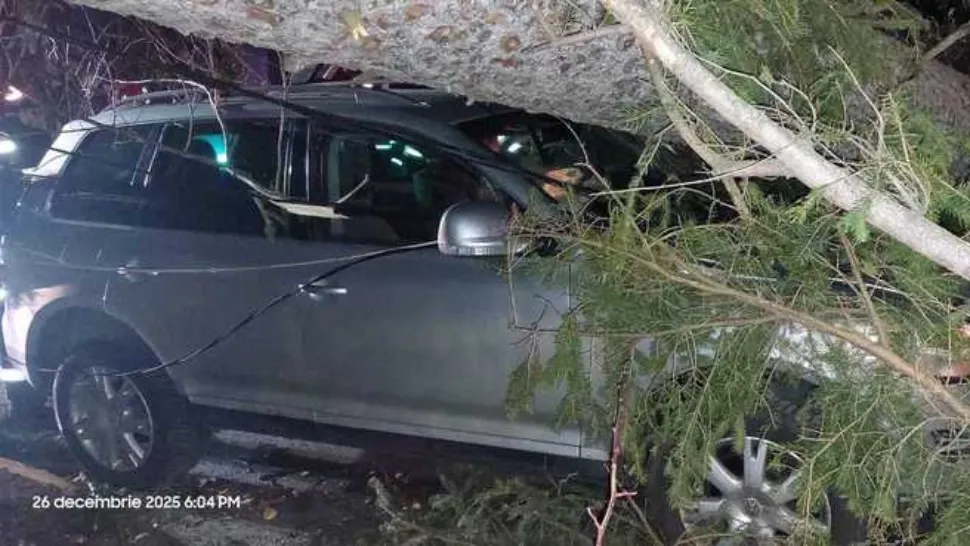 Furtuna a făcut ravagii pe Valea Prahovei: copaci smulși de vânt la Sinaia și un autoturism avariat
