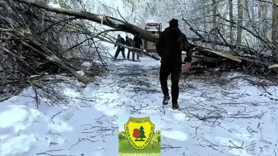 Intervenție în condiții extreme în Caraș-Severin: drumuri blocate de copaci și zăpadă / Captură video 
