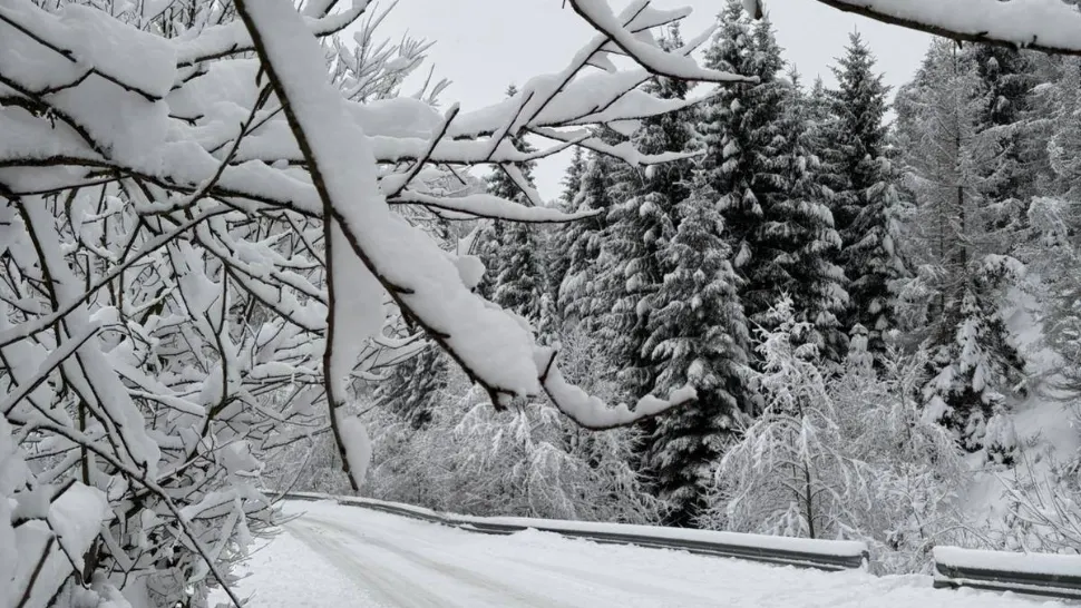Vreme extremă în țară: În continuare, ninge abundent în mai multe zone. Ce ne așteaptă în orele următoare/ Foto: Meteoplus