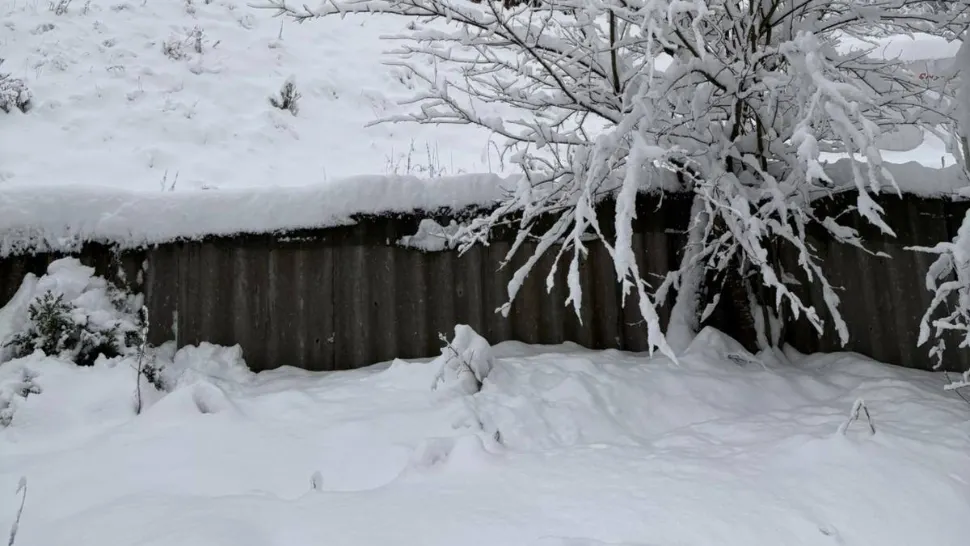 Alertă meteo COD GALBEN: ninsoare și viscol în munți, strat de zăpadă de până la 15 cm în Transilvania și Maramureș/ Foto: Meteoplus