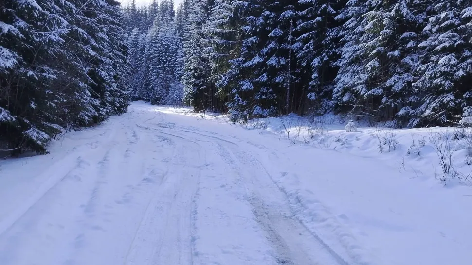 Suceava: strat de zăpadă de până la doi metri în zona montană. Avertisment Salvamont