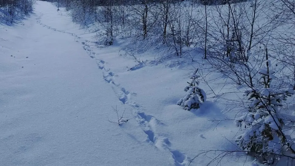 Salvamont Suceava anunță care sunt traseele montane pe care turiștii ar trebui să le evite.