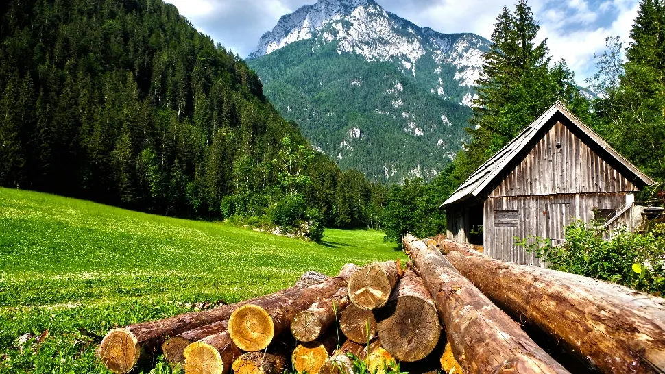 De ce este recomandat să petreci cât mai mult timp în natură. Beneficiile nebănuite pentru sănătate