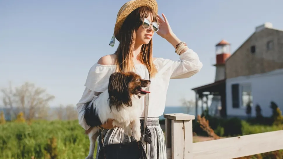 Europa schimbă regulile pentru călătoriile cu animale de companie
