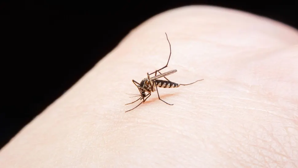 Cazuri de malarie confirmate în România: ministrul Alexandru Rogobete explică situația și recomandă vaccinarea înainte de călătoriile în zone exotice