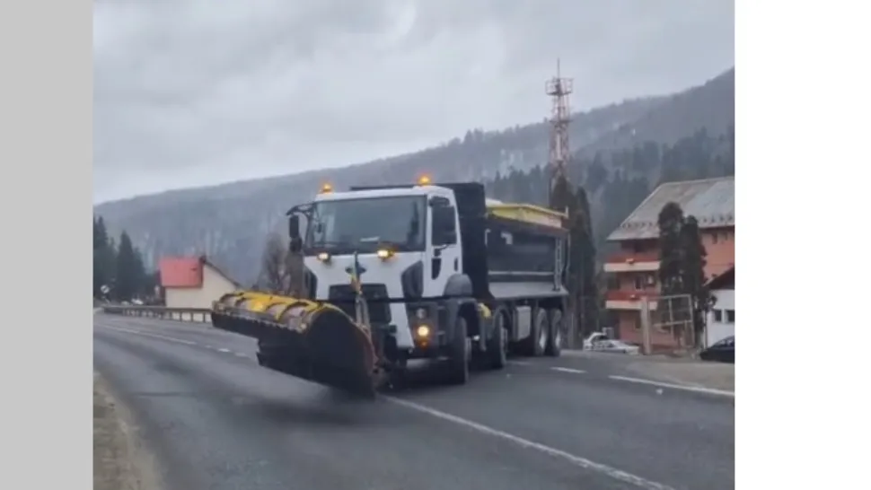 Ninge din nou în România
