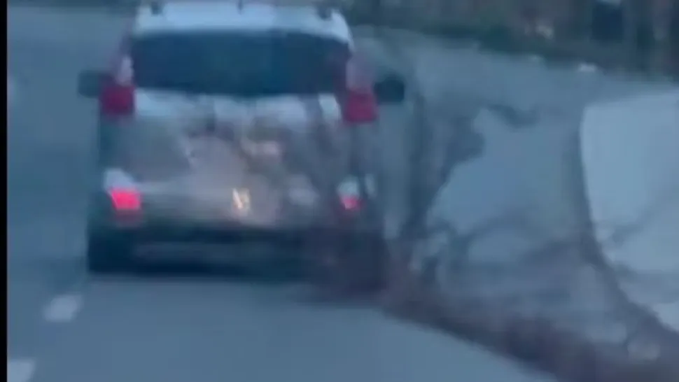 Incident șocant în Bistrița: un autoturism a târât pe șosea un trunchi de copac de 16 metri. Primarul Gabriel Lazany: „Un pericol uriaș pentru oameni”