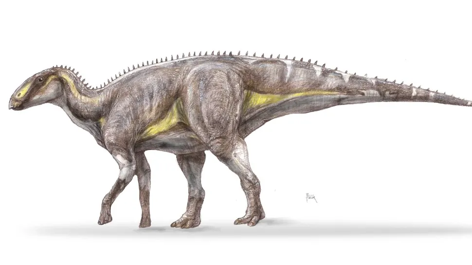 Descoperire arheologică în România. O noua specie de dinozaur descoperită în Geoparcul Țara Hațegului