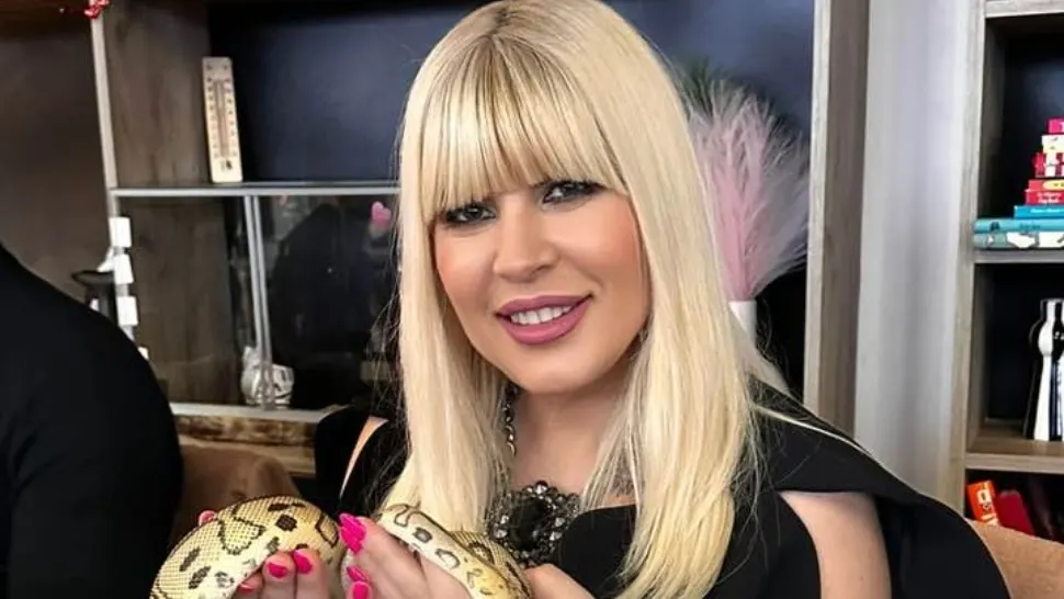 Elena Udrea reacționează în scandalul vânzării companiilor de stat: „România riscă să-și lichideze industria strategică”