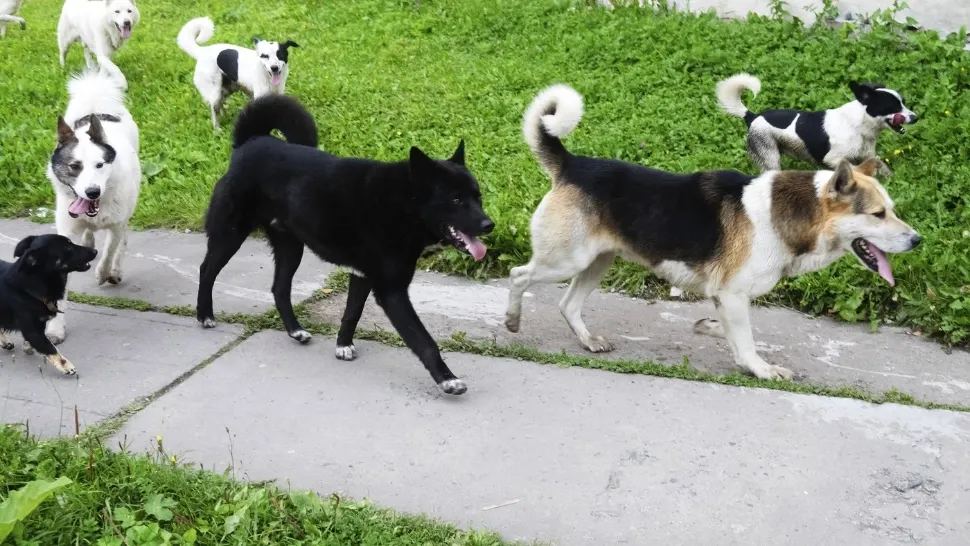 Foto: Profimedia
