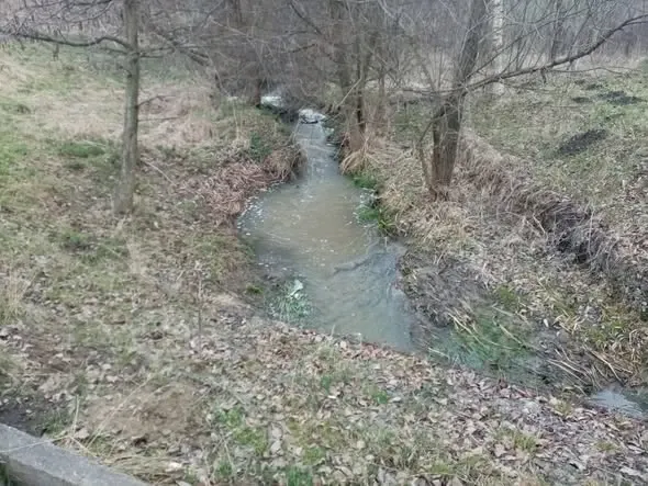 Poluare Suceava