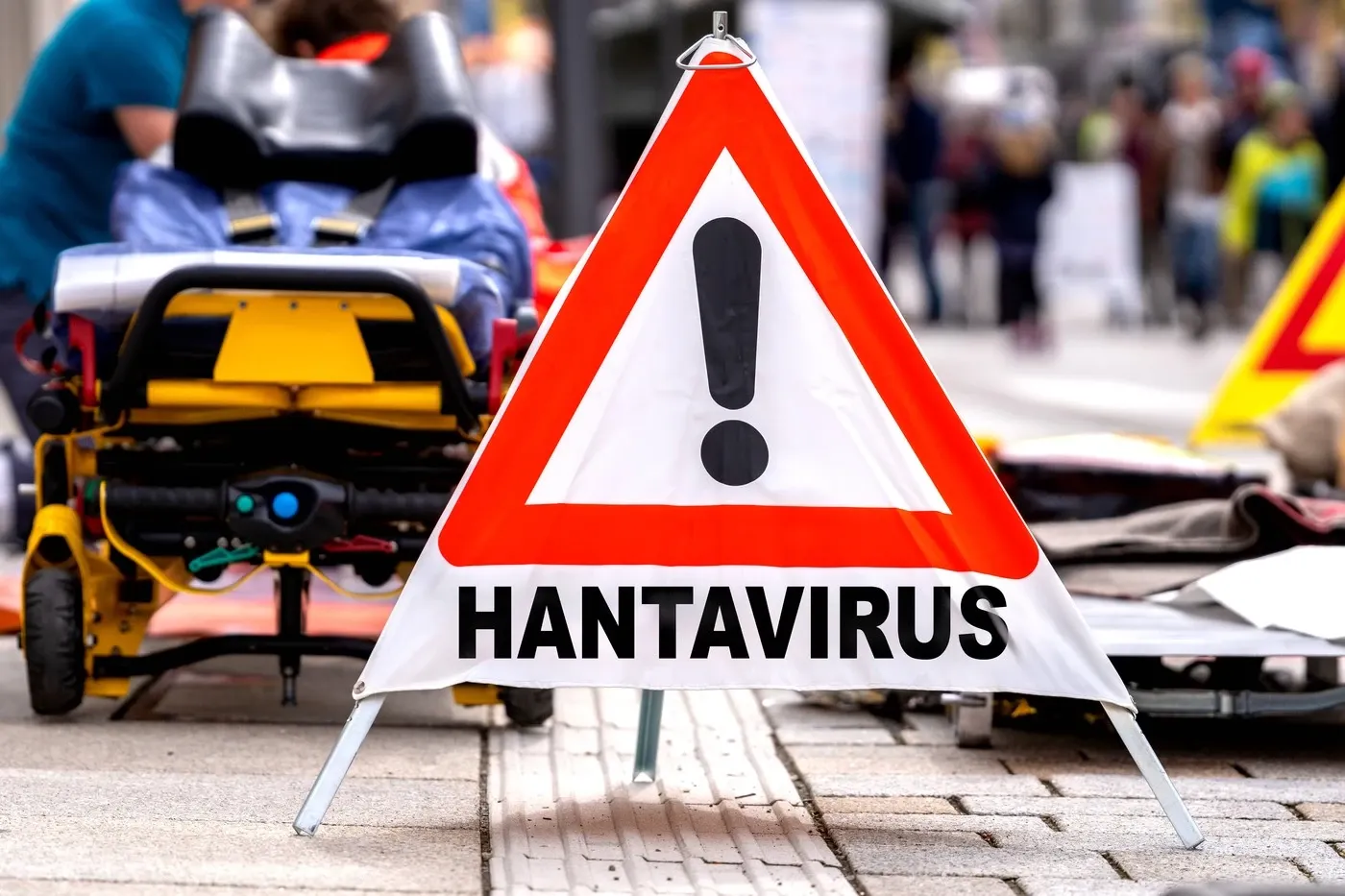 Alerta hantavirus (Profimedia)