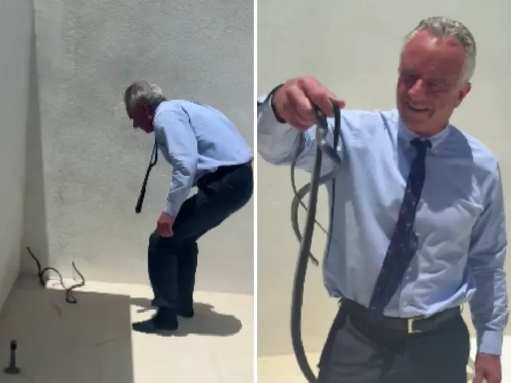 Robert F. Kennedy Jr. a prins doi șerpi cu mâna
