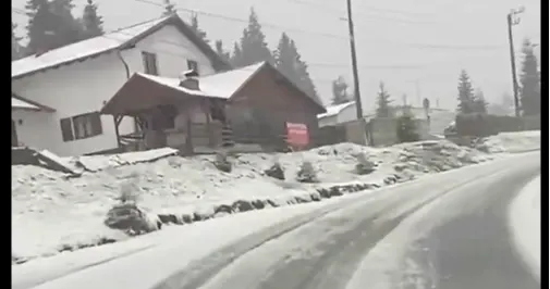 Ninge în România
