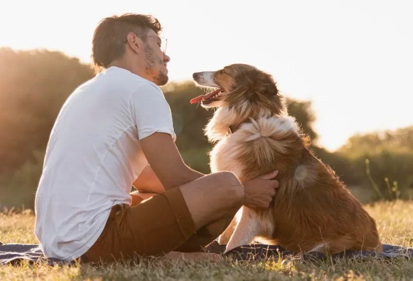 Primul „animal de companie” al omenirii nu a fost câinele