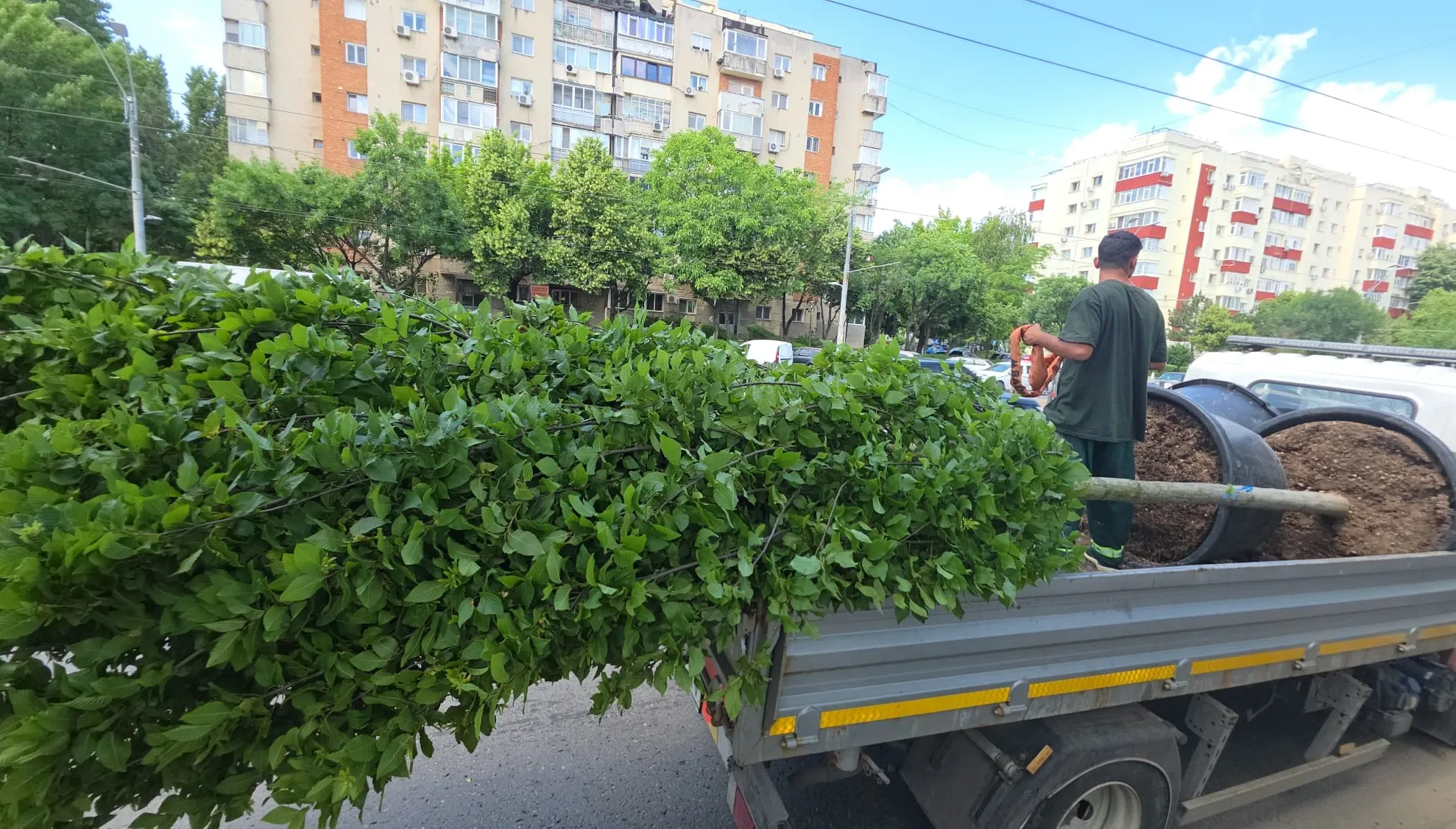 Calea Văcărești