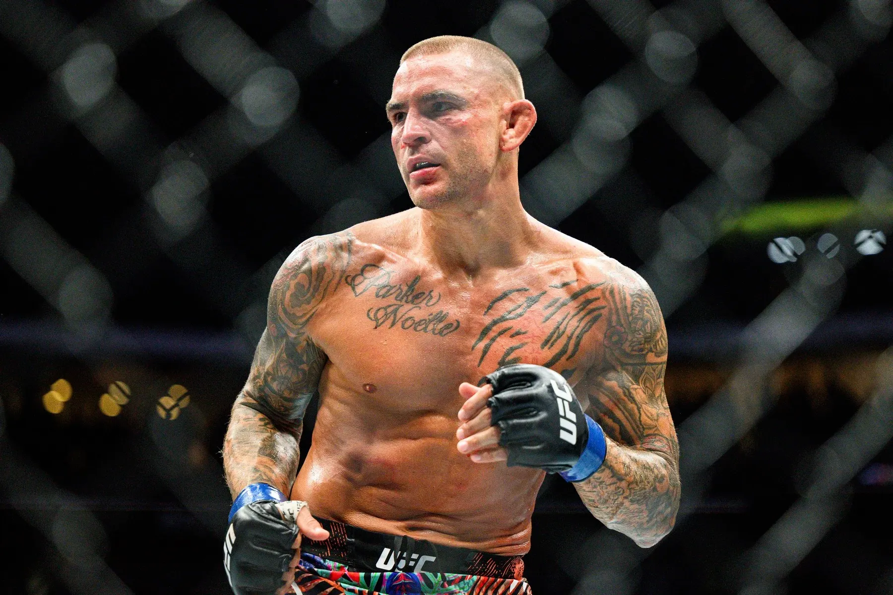 Dustin Poirier (foto: profimedia)
