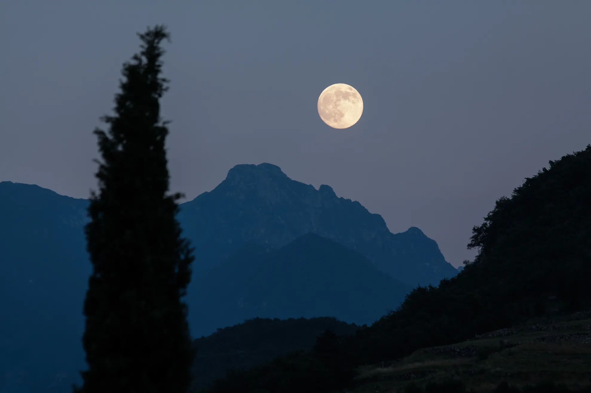Lună Plină 