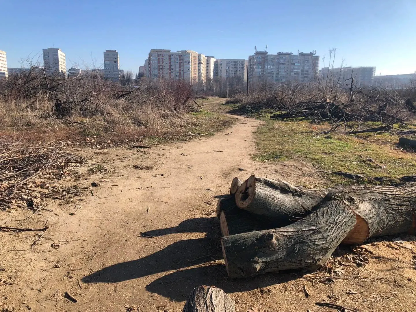 Retrocedări din Parcul IOR