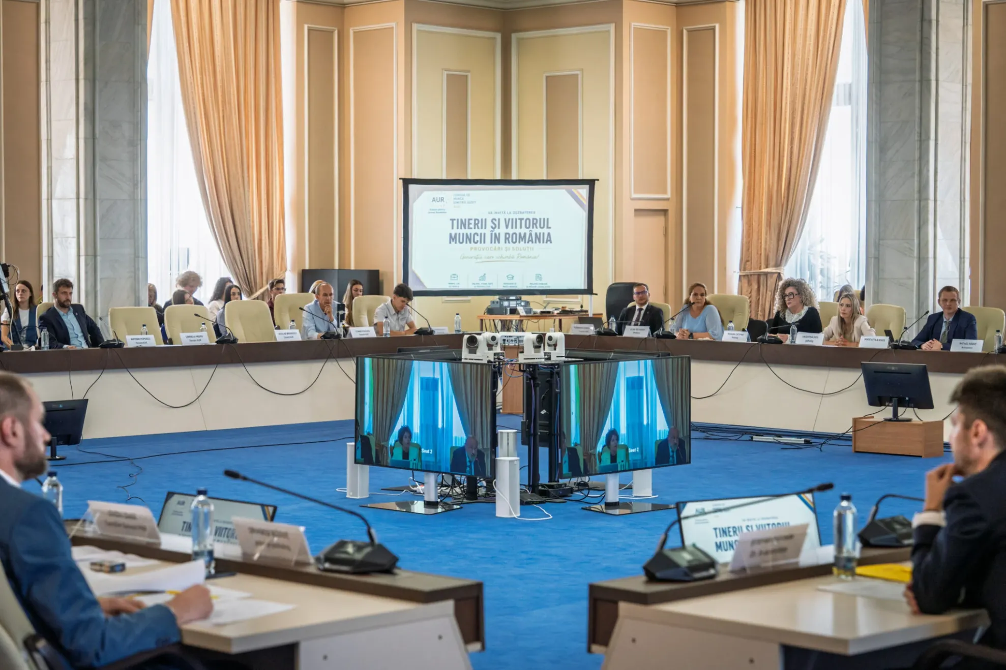 Tinerii și viitorul muncii în România: provocări și soluții