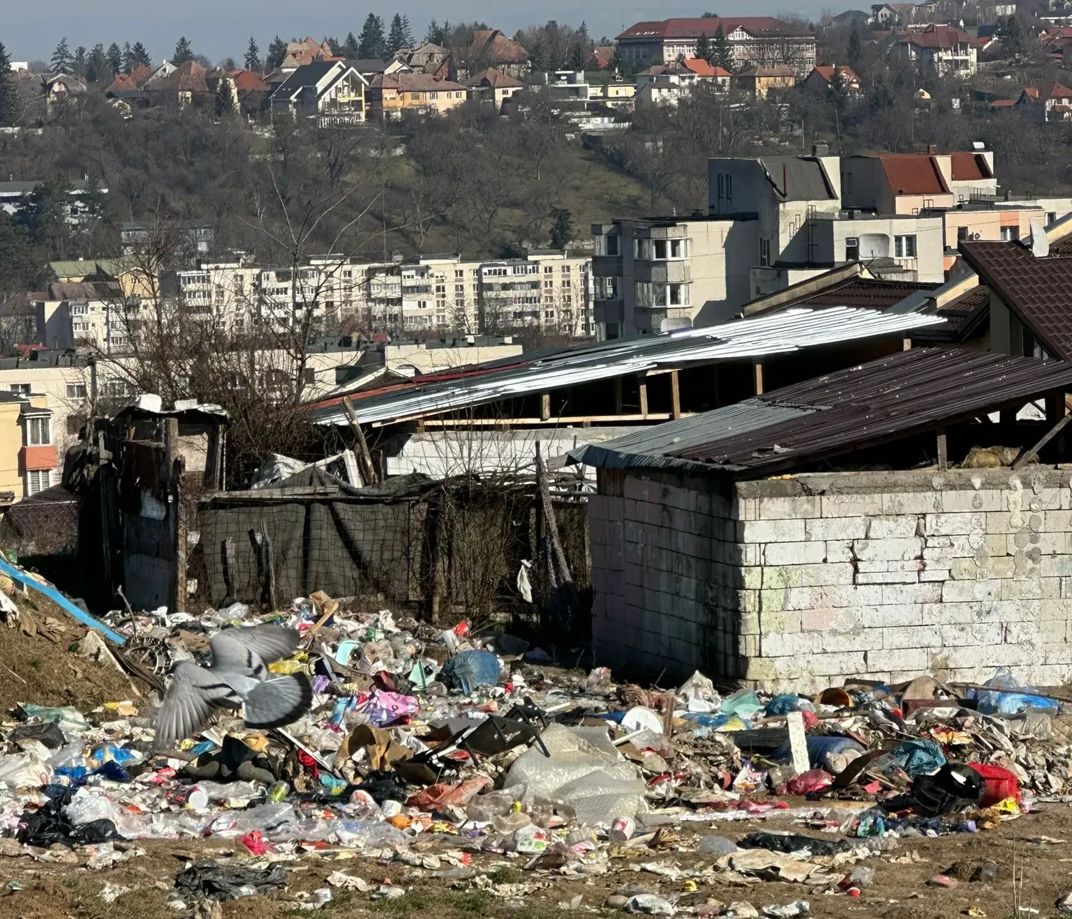 Gunoi la Tg.Mures (foto via Flux 24)