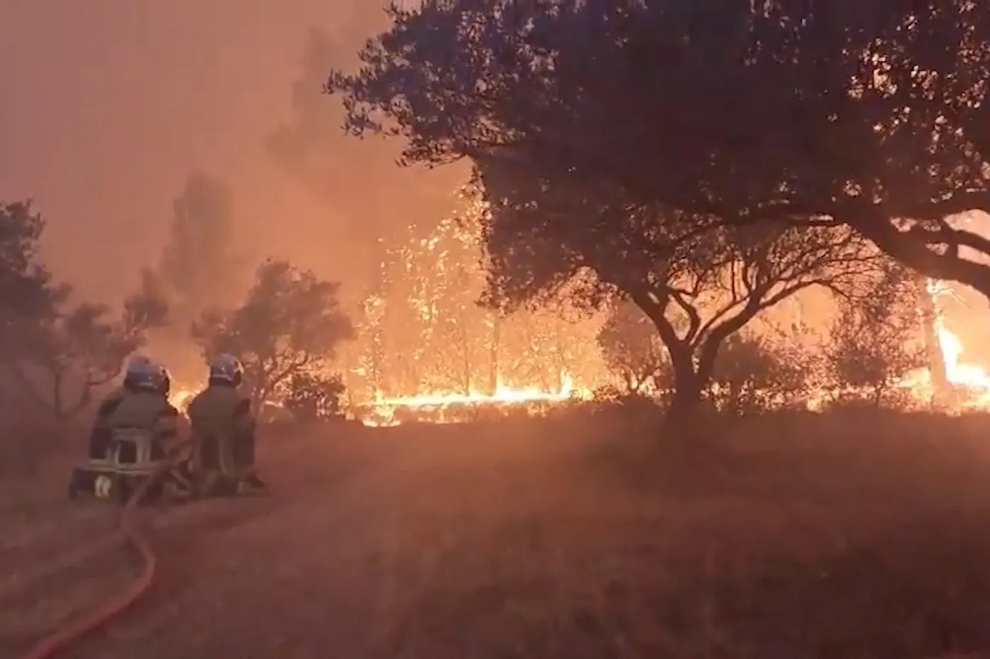 Incendii Franța. Foto: Profimedia
