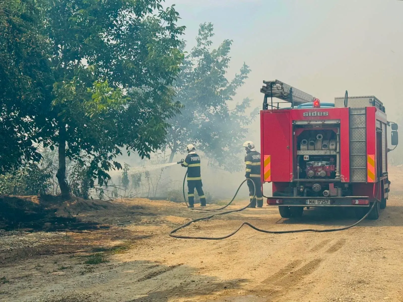 Incendiu de vegetatie Giurgiu (ISU Giurgiu)