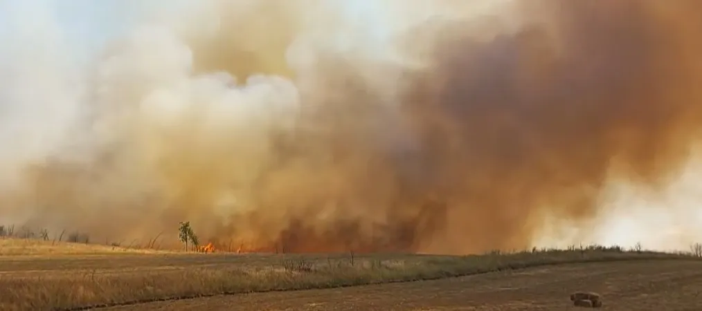 Incendiu de vegetație în Mehedinți