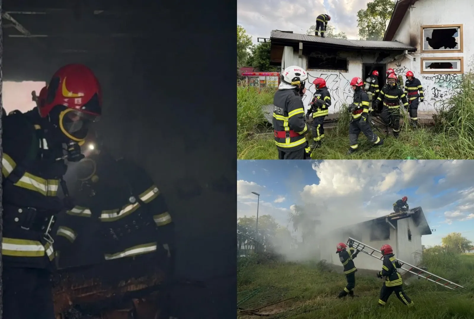FOTO: ISU Tulcea/ Colaj Realitatea.NET