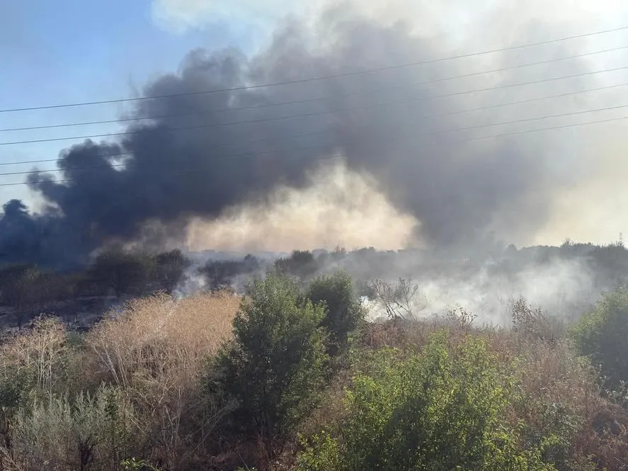 Incendiu de vegetație în Vaslui