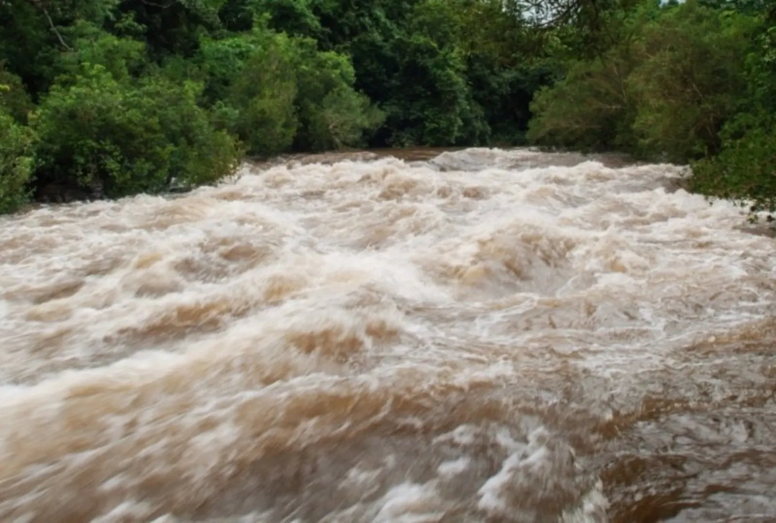 FOTO: Arhivă