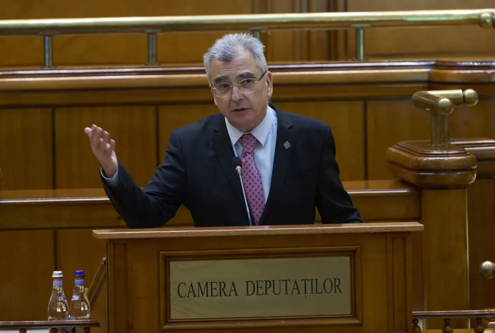 Petrișor Peiu, liderul senatorilor AUR