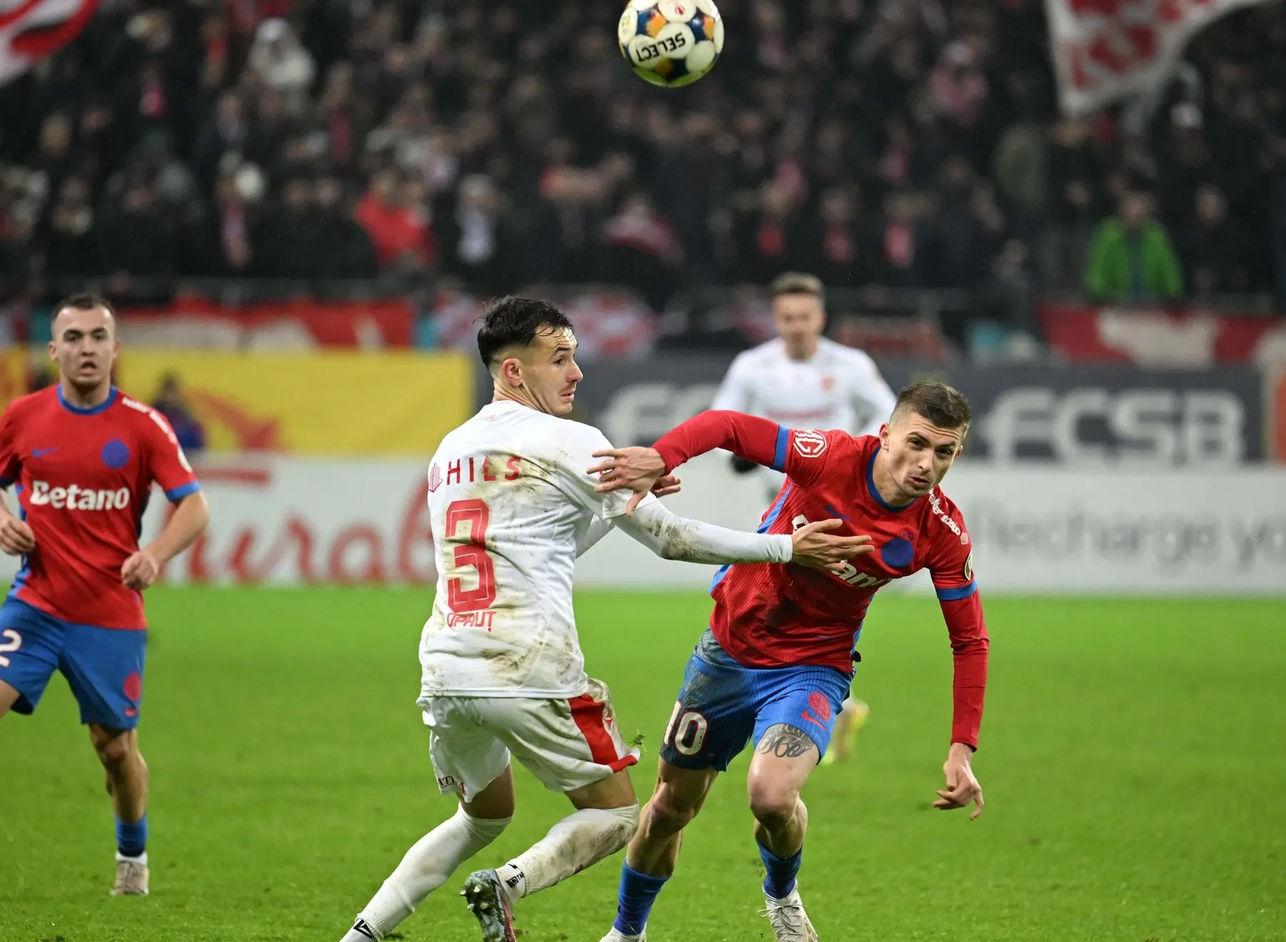 FCSB - Dinamo (foto: profimedia)