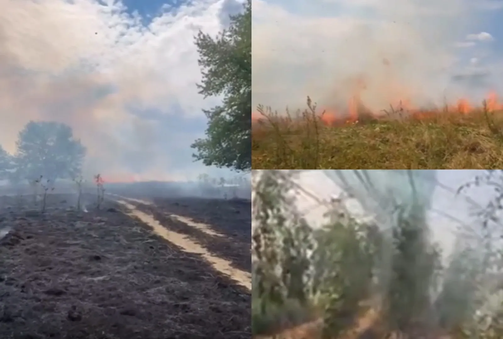 FOTO: Captură Realitatea PLUS