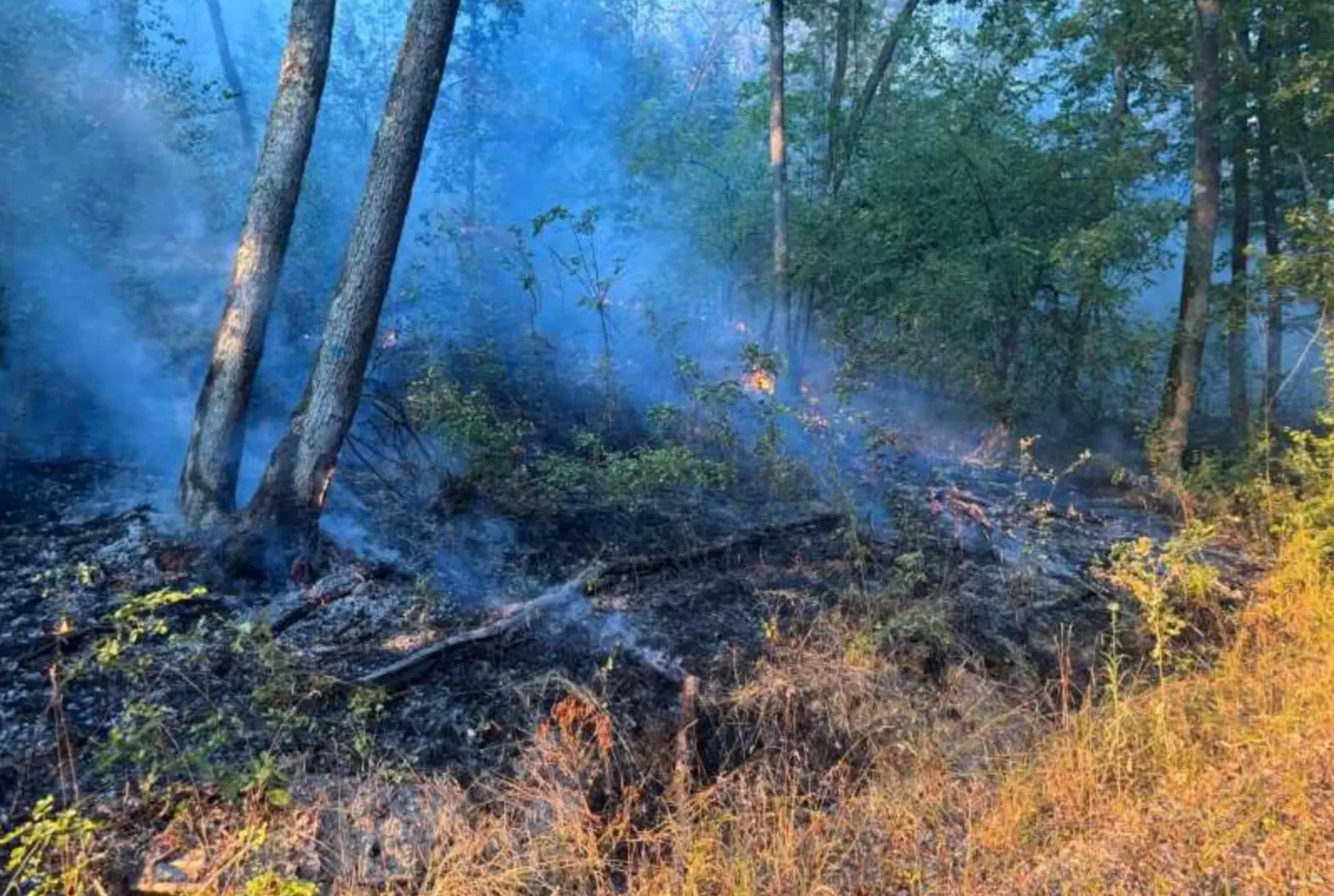FOTO: ISU Hunedoara