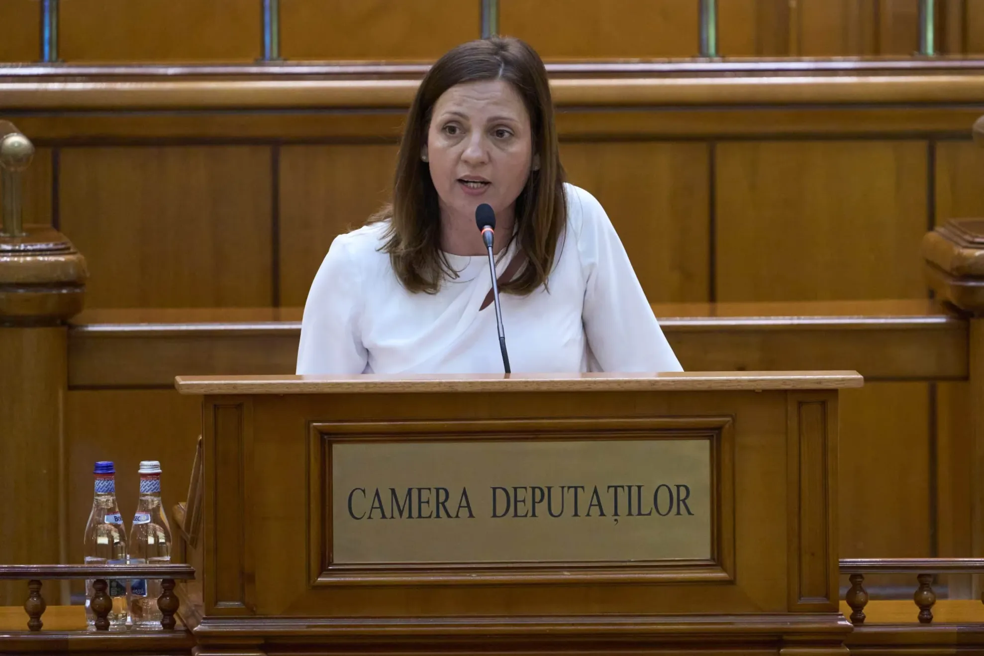 Ionela Priescu (AUR)