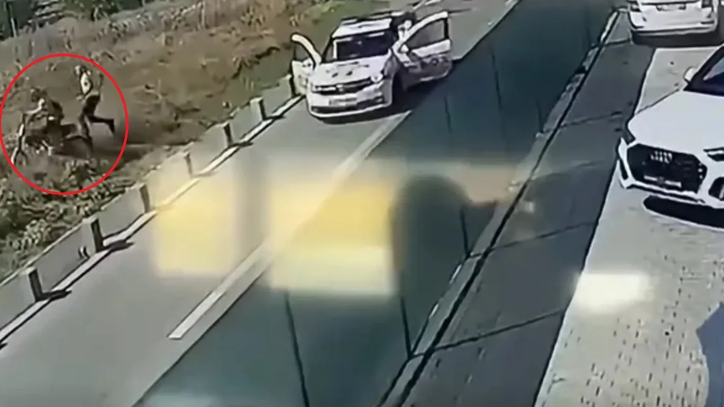Motociclist/ Captură video