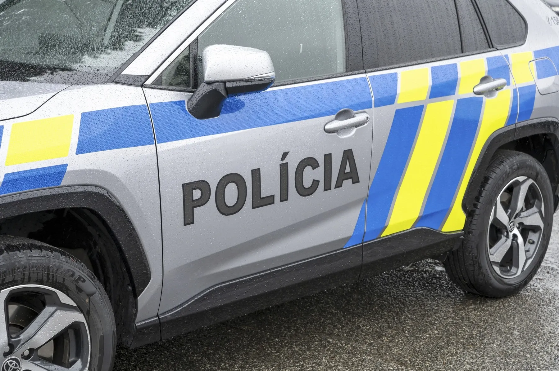 Poliție Slovacia/ Profimedia 