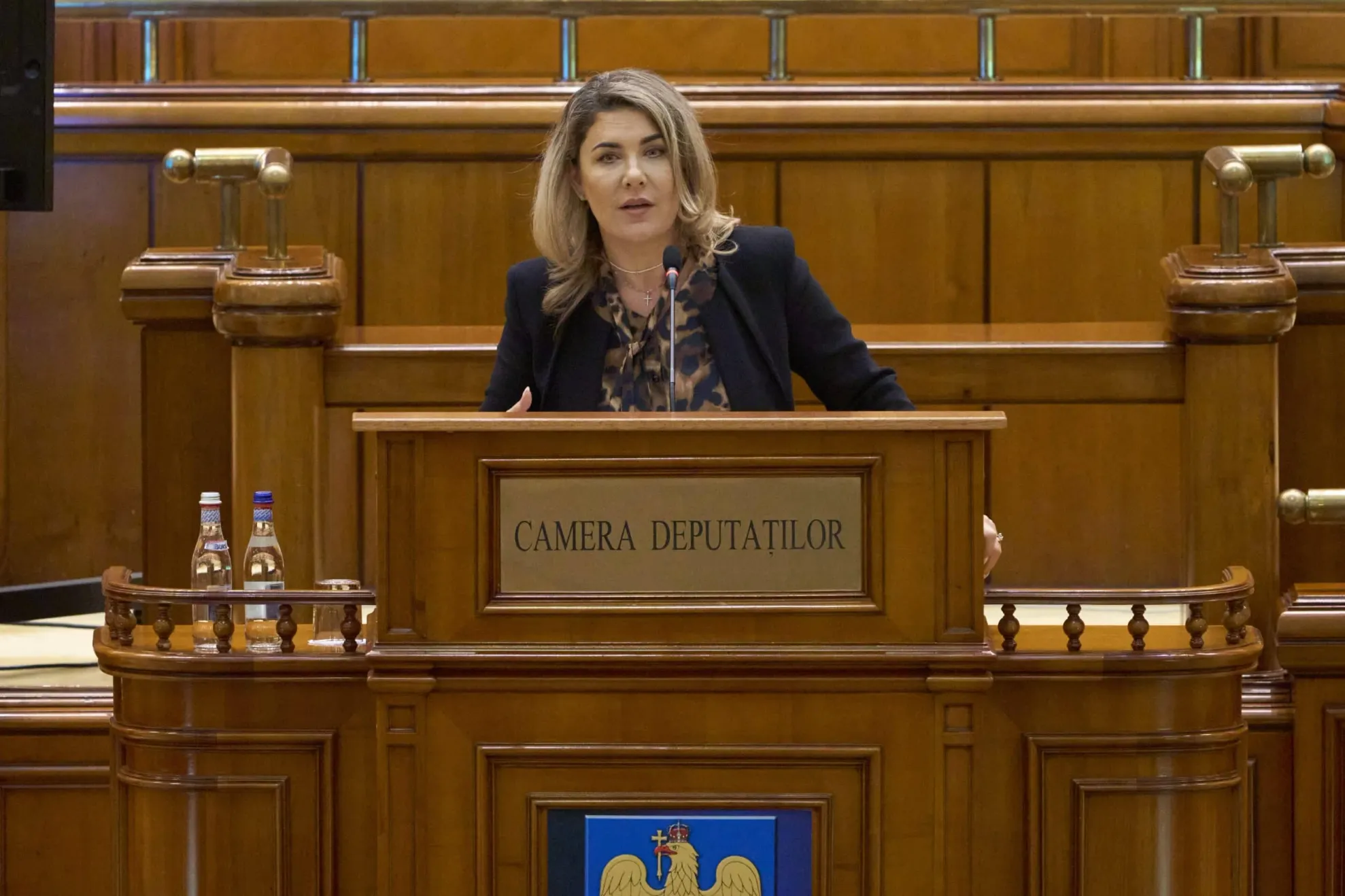 Șerban Gianina (AUR) 