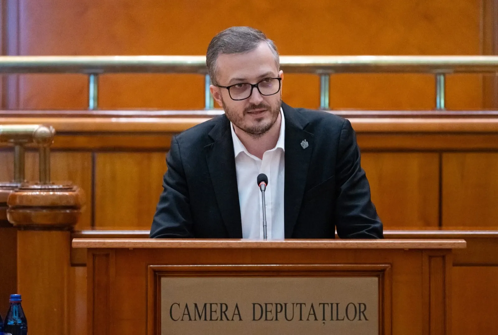 Ștefăniță Avrămescu (deputat AUR)